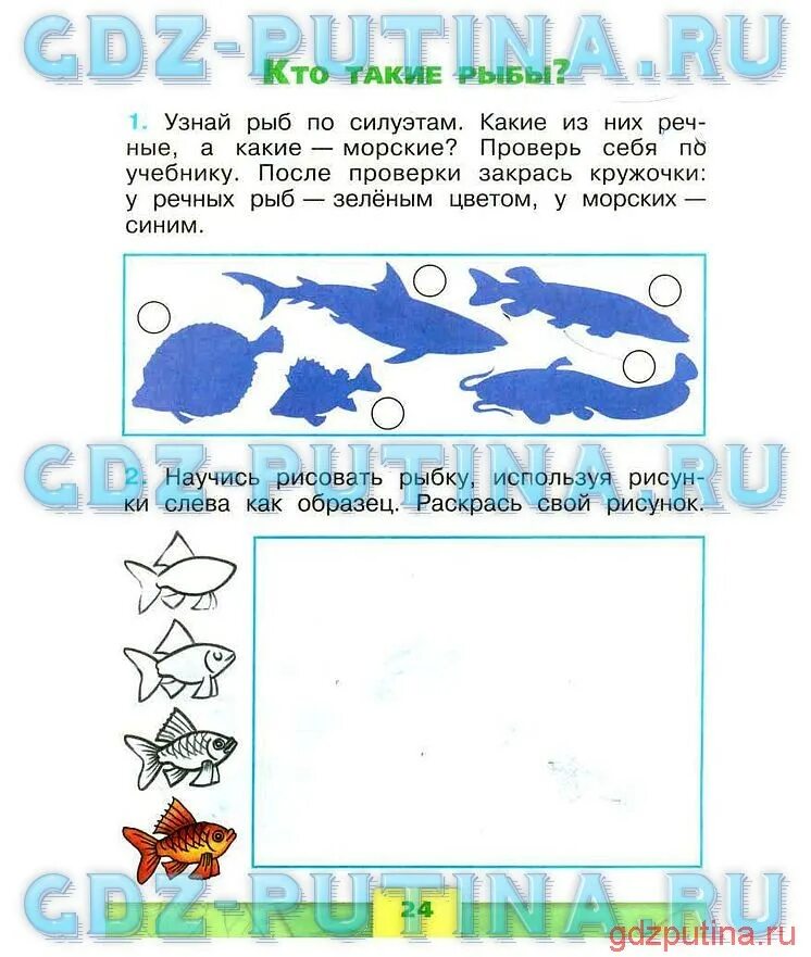 Рыба задания к окружающему миру. Окружающий мир 1 класс плешаков рыбы. Рыбы 1 класс окружающий мир. Морские и речные рыбы 1 класс. Кто такие рыбы рабочая тетрадь 1 класс плешаков.