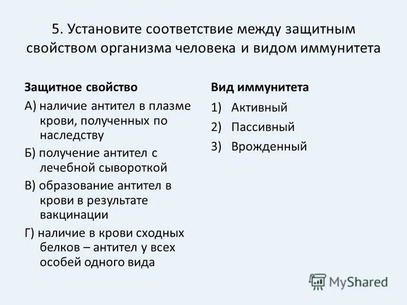 Установите соответствие соответствие. Установите соответствие. Установите соответствие между защитными. Установите соответствие между защитными. Установите соответствие между.