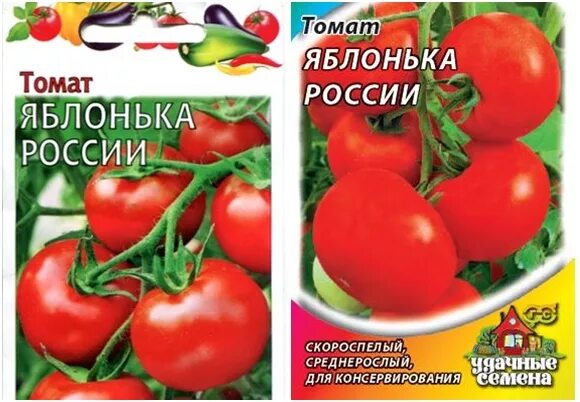 Томаты яблонька россии описание сорта отзывы. Томат Яблонька России. Томаты сорт Яблонька России. Яблонька России. Томат Яблонька России фото.