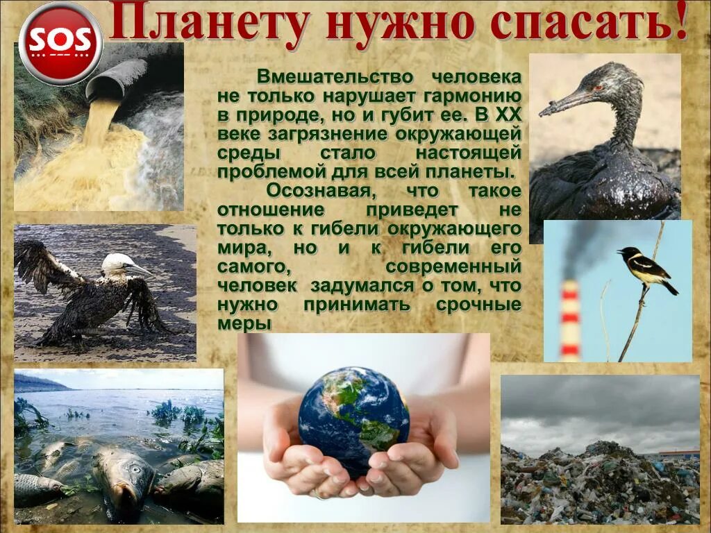 Проект спасем мир
