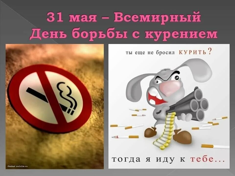 Нов 31 мая. День против курения. Борьба против курения. Картинки по борьбе с курением. Борьба с курением.
