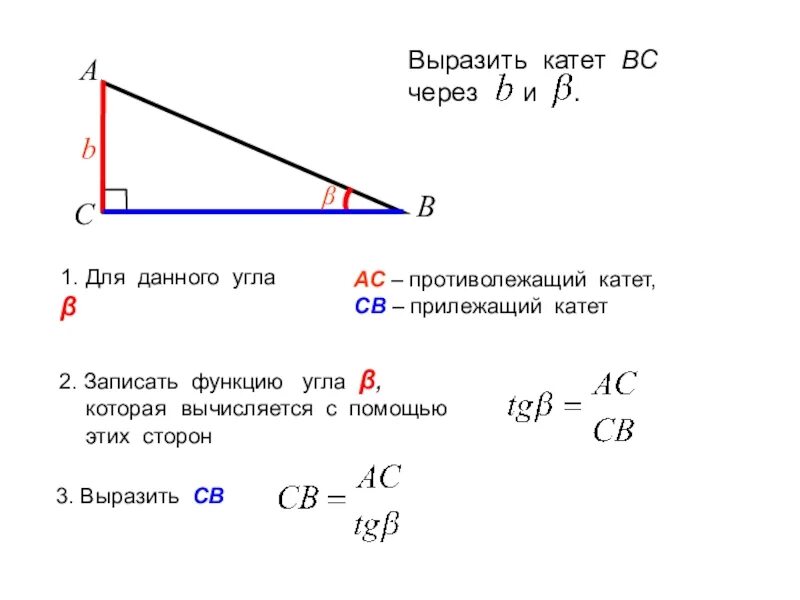Противолежащий катет. Катет прямоугольного треугольника через тангенс. Синус косинус и тангенс острого угла прямоугольного треугольника. Тангенс через стороны.