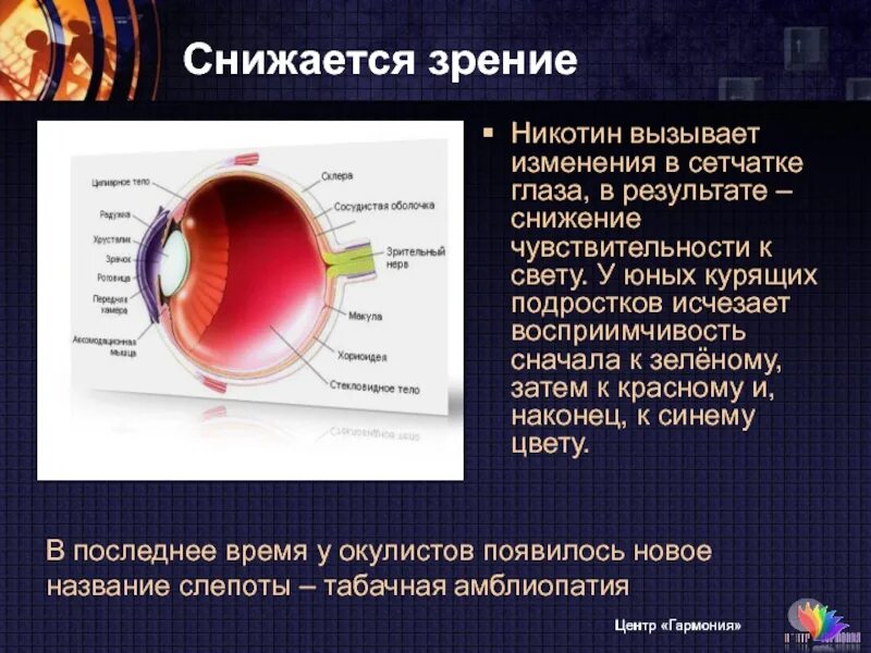 Что содержится в глазу