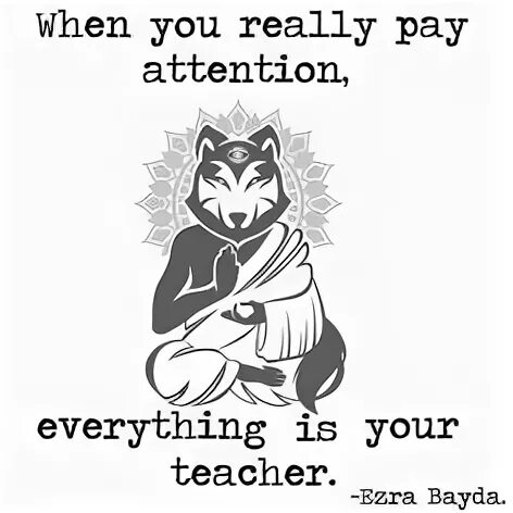 Paid attention перевод. Pay attention meme. Гиф pay attention. Wolf quotes meme. Pay attention to or on.