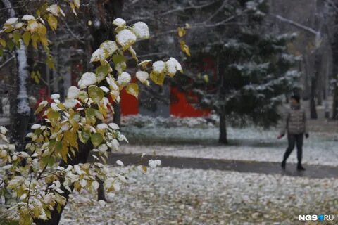 Беларусь присыпало снежком