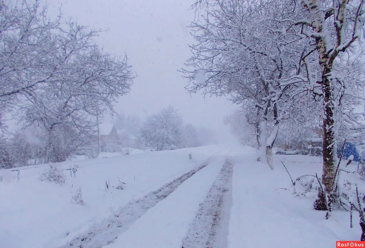 Кубанские зимы. Зима на Кубани. Природа Кубани зимой. Суровые зимы на Кубани. Зима на Кубани фото.