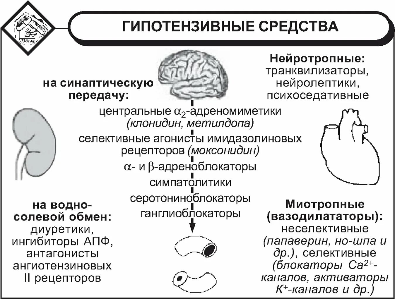 Гипотензивные средства что это. Классификация гипотензивных препаратов таблица. Сравнительная таблица гипотензивных препаратов. Нейротропные антигипертензивные средства классификация. Механизм гипотензивных средств.