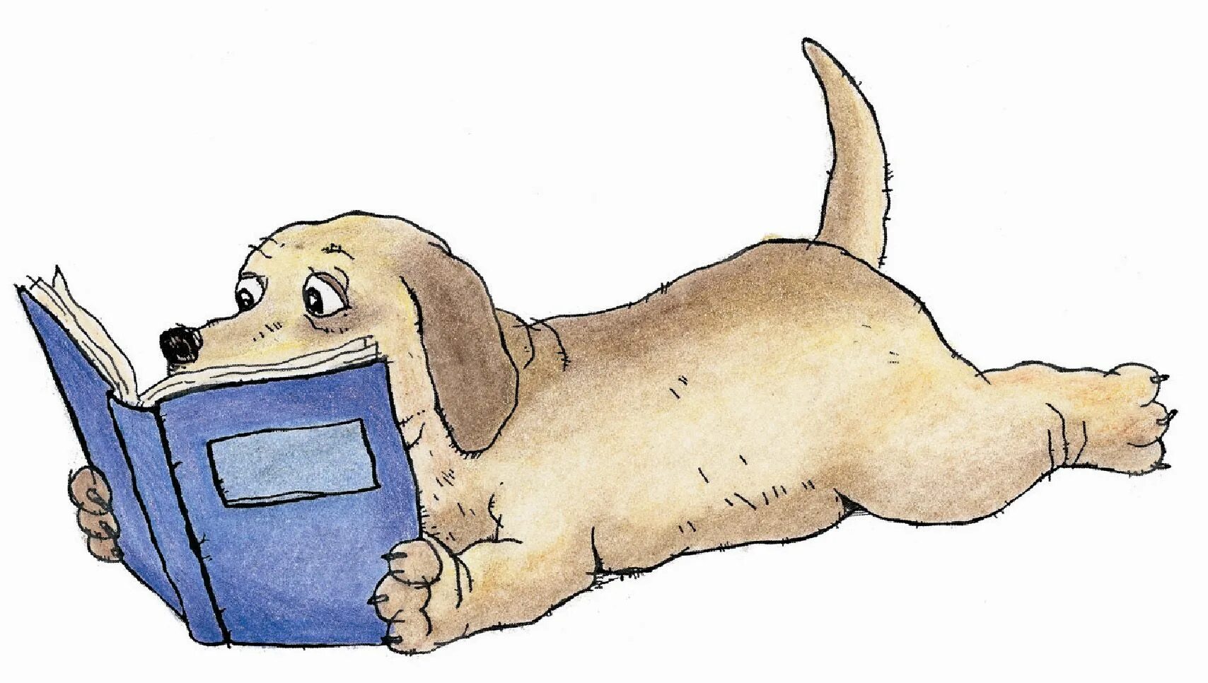 Book my dog. Собака с книжкой. Книги про собак. Собака рисунок. Книга про собачку.