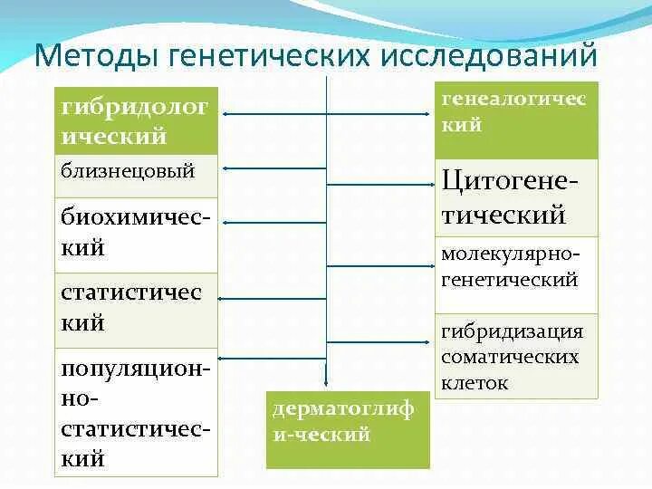 Какой метод генетики используют. Методы генетических исследований. Методы изучения генетики. Генетика методы исследования. Метод исследования генетики.