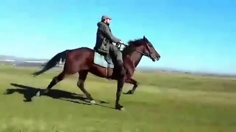 Иноходец 2
