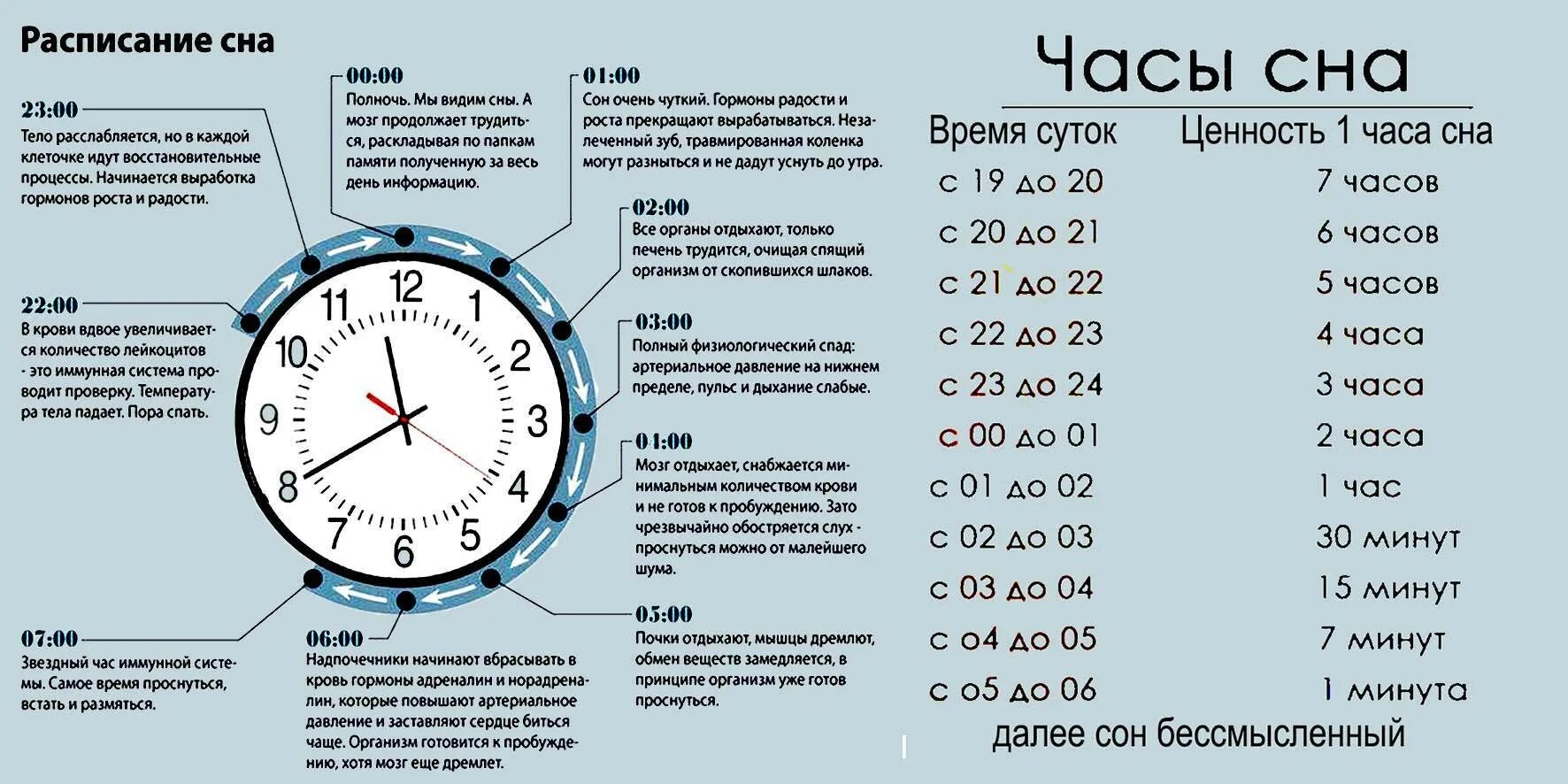 Сколько следующий день. Ценность сна по часам таблица днем. Продуктивность сна по часам таблица. Эффективность сна по часам таблица. Фазы сна по часам таблица.