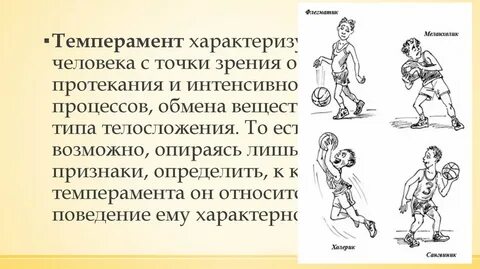 Темперамент в течении жизни