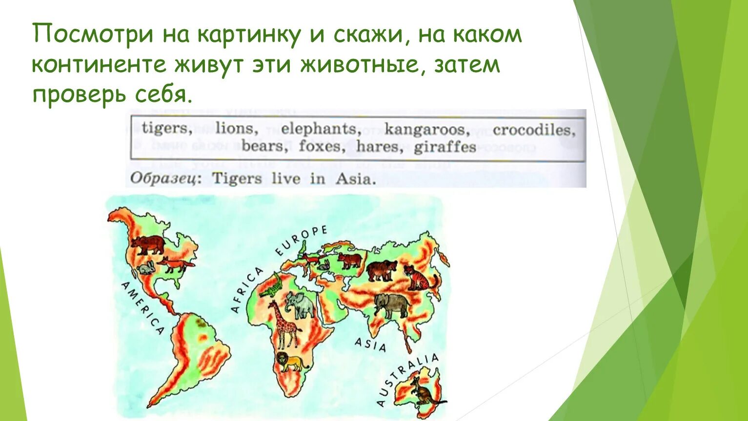 Где обитает тигр на каком материке. Где обитает тигр на карте. Где обитают тигры на каких континентах. На каком материке живут живут тигры. На каком материке обитает пума