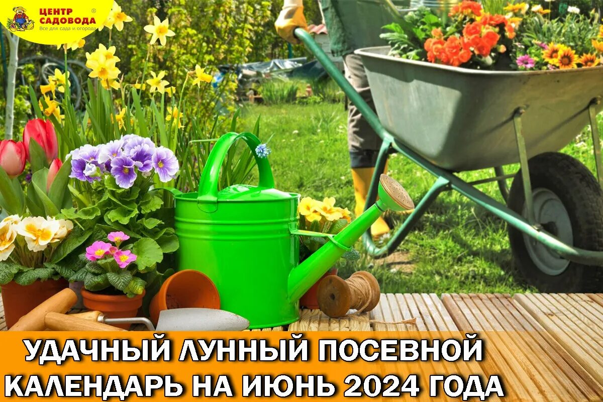 Календарь огородника на июнь. Календарь посадок. Таблица садовода и огородника посевной. Календарь 2024 огородный. Календарь садовода июнь 2024.