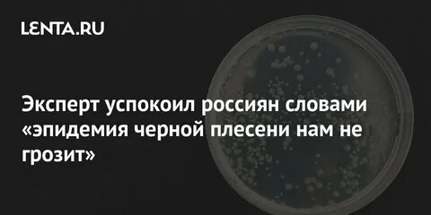 Пандемия текст