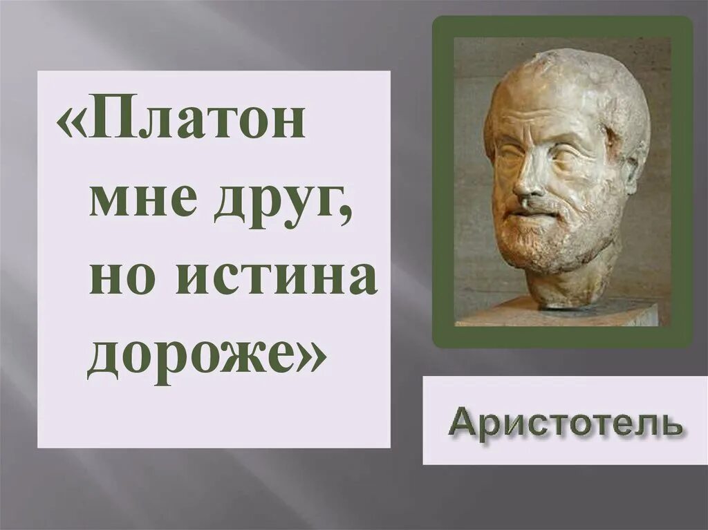 Аристотель Платон мне друг но истина дороже. Мне друг но истина дороже. Сократ мне друг но истина дороже. Платон мне друг но истина дороже Автор