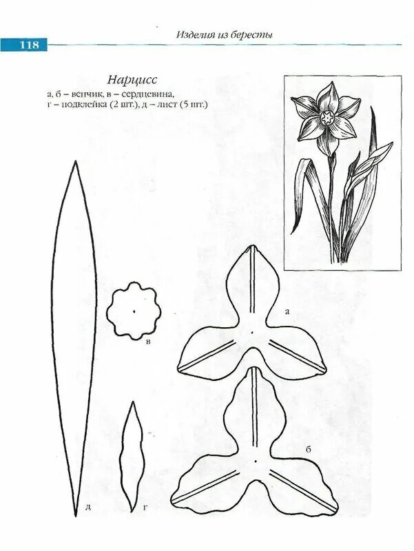 Шаблон нарцисса для вырезания из бумаги распечатать. Цветок шаблон для вырезания. Шаблон нарцисса для вырезания из бумаги распечатать. Шаблон цветка нарцисса. Нарцисс трафарет для вырезания.