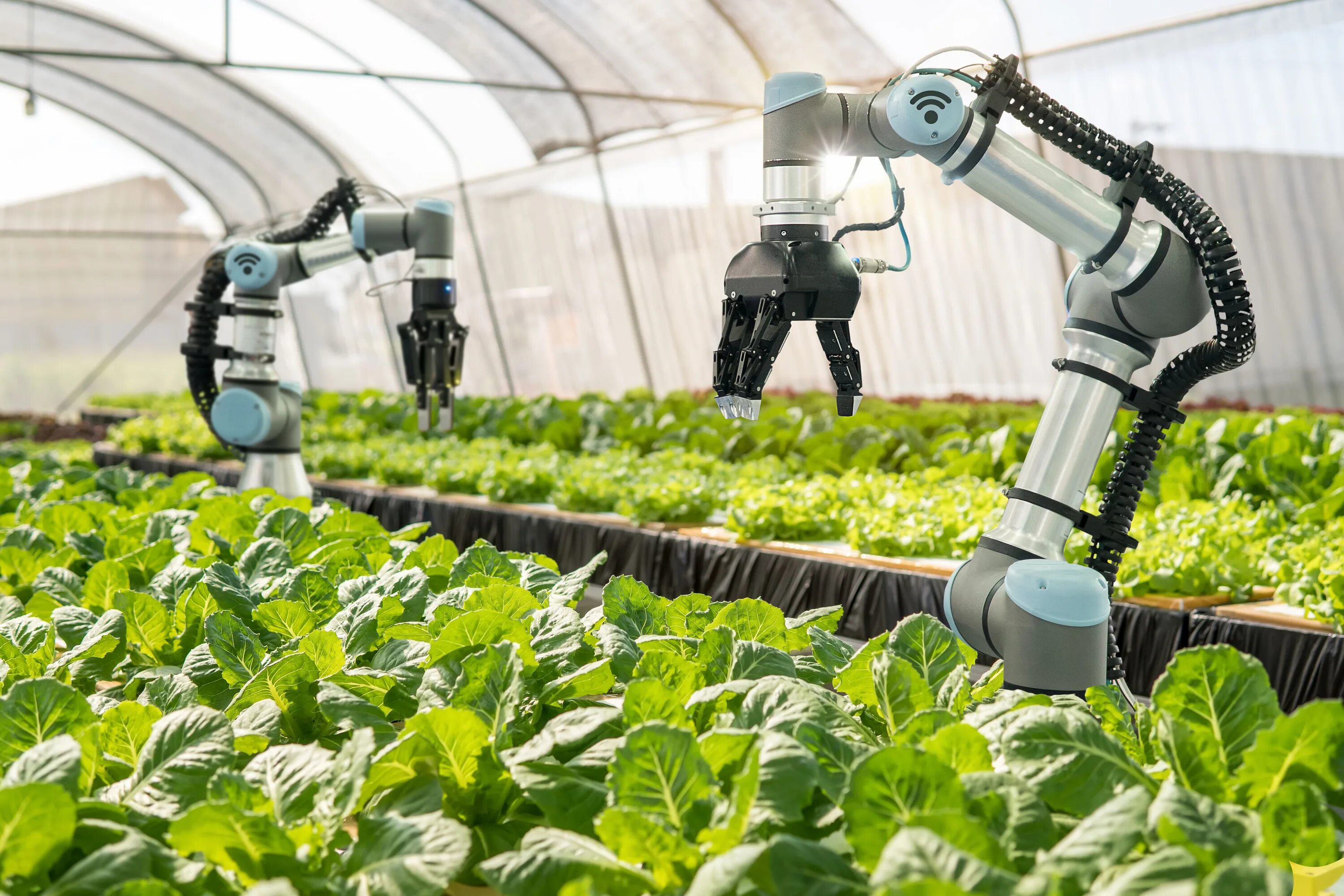 Сельскохозяйственные роботы. Технологии в сельском хозяйстве. Роботизация сельского хозяйства. Робототехника в сельском хозяйстве.