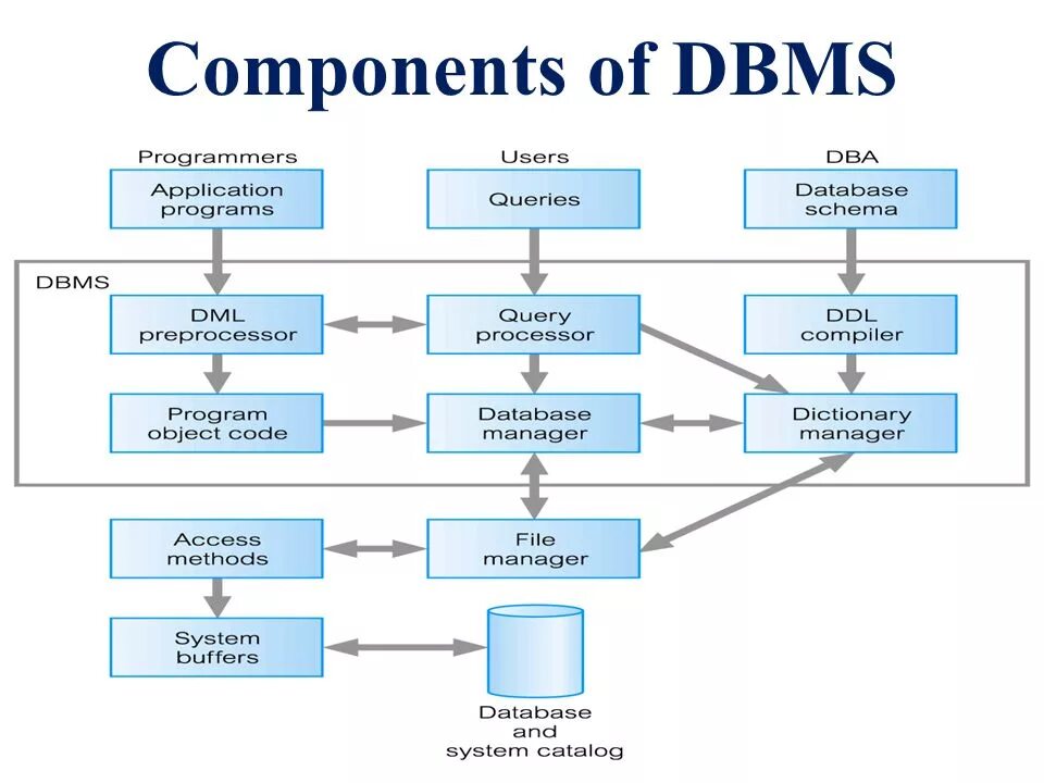 Component source. Database management system dbms. component of dbms. database components. what is database.