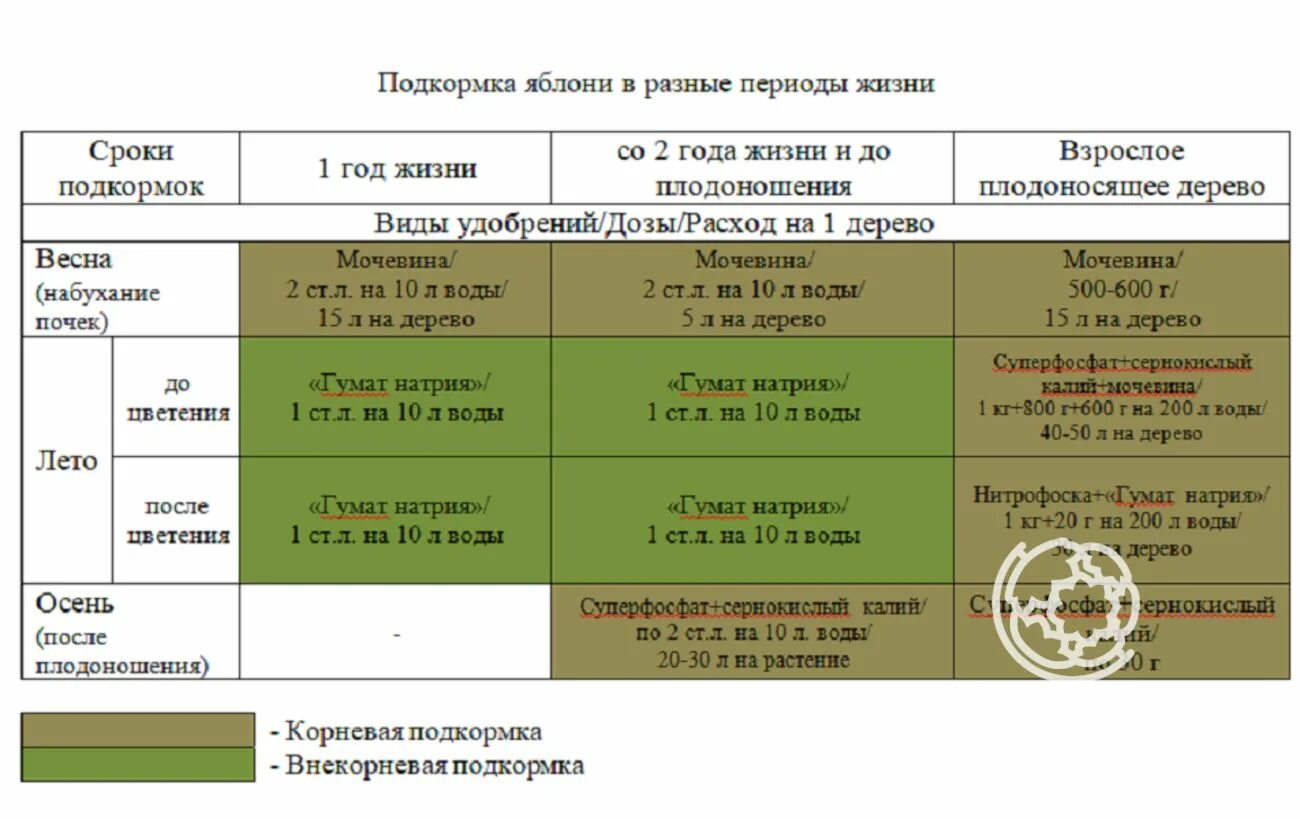 Схема удобрения яблонь. Таблица подкормок плодовых деревьев и кустарников. Таблица весенней подкормки плодовых деревьев. Схема внесения удобрений для яблонь. Подкормка яблонь и груш