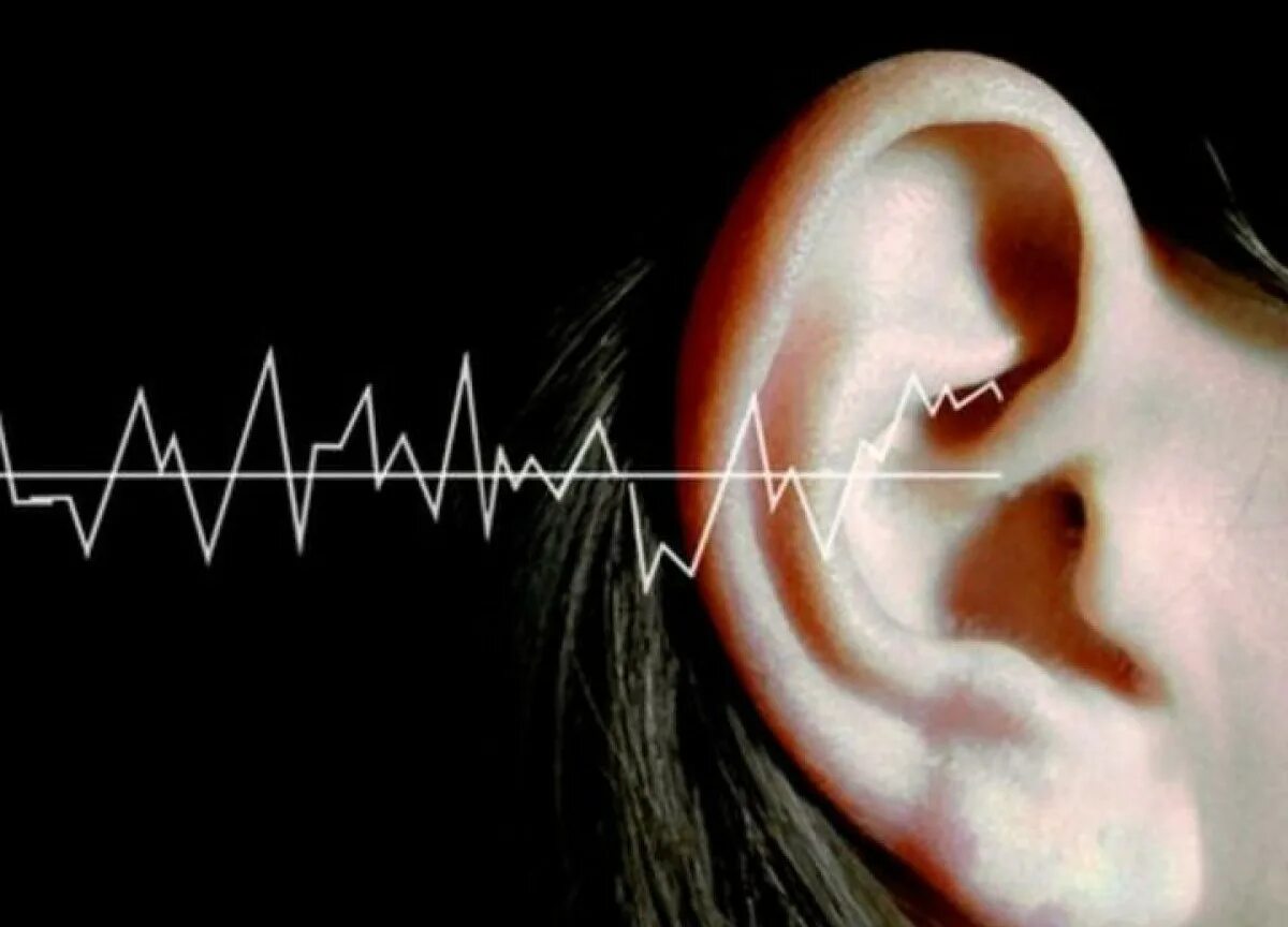 Ухо слух. Восприятие звука. Ухо улавливает звук. Тонкий музыкальный слух это. Слушать через звуков