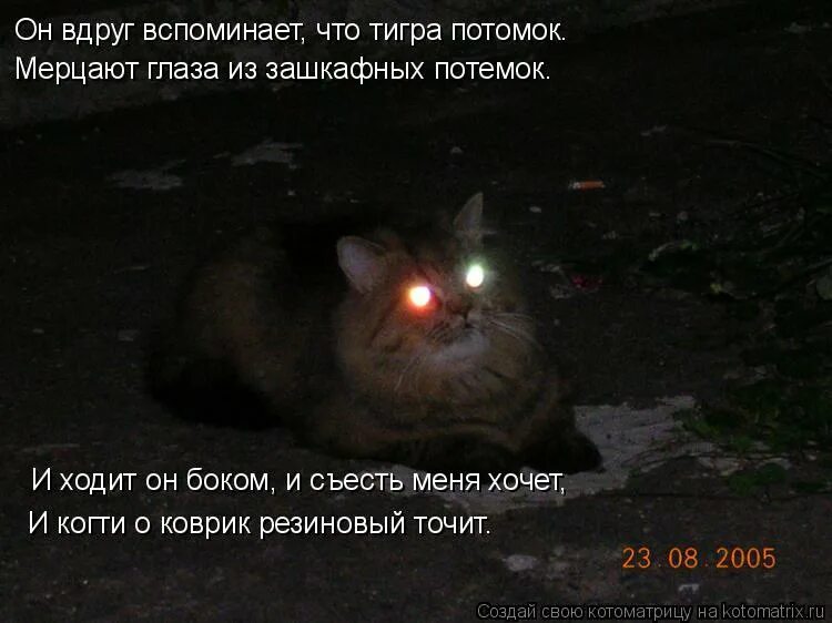 Стихи о потерянных друзьях. Стихи о войне. Вдруг вспомнилось стихотворение дмитрия. Текст песни. Зачем любить и ненавидеть растить цветы и звезды стих.