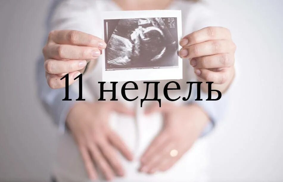 11 Недель беременности. Ребёнок на 11 неделе беременности. 10-11 Недель беременности. 11 неделя 24 года