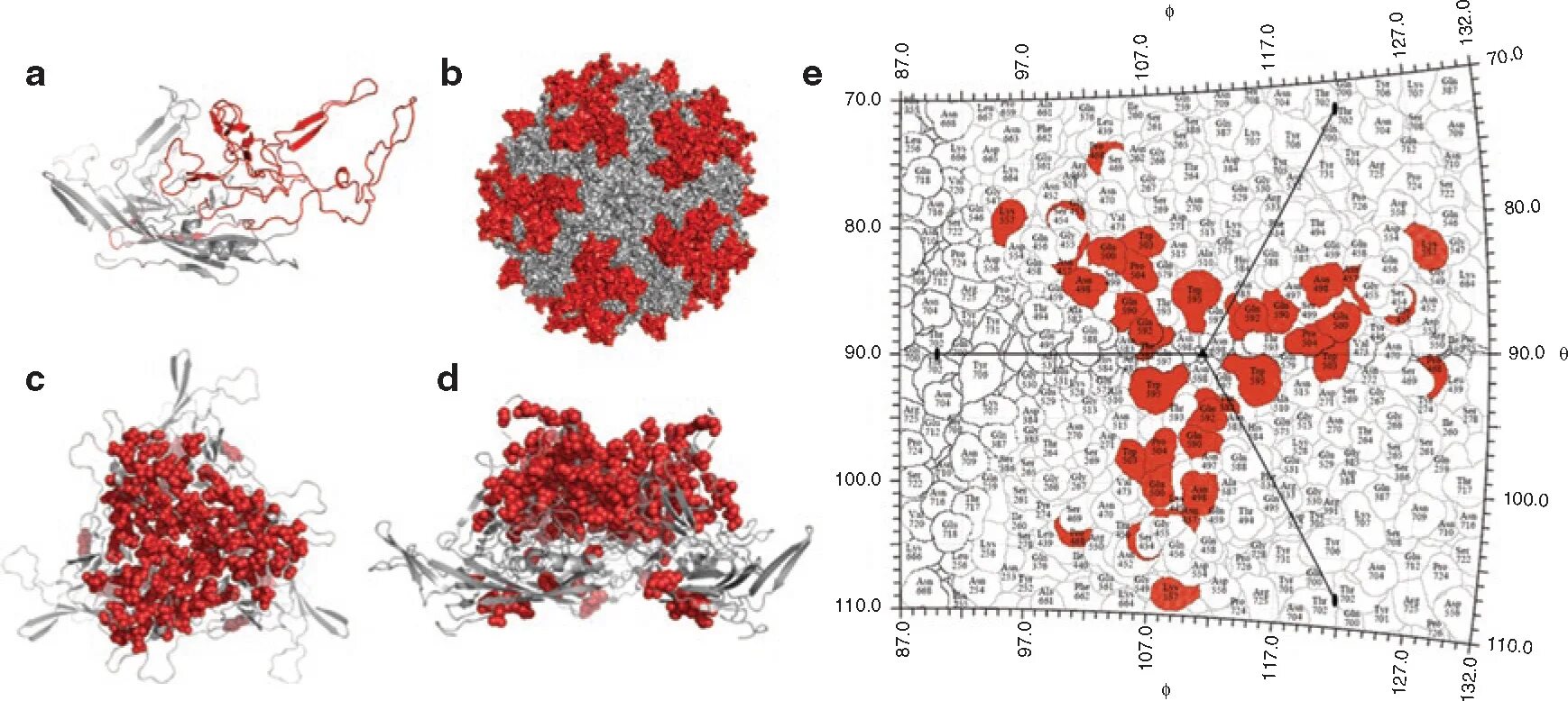 Aav9 capsid. AAV serotypes receptors. Aav9. Adeno-associated virus microphoto.