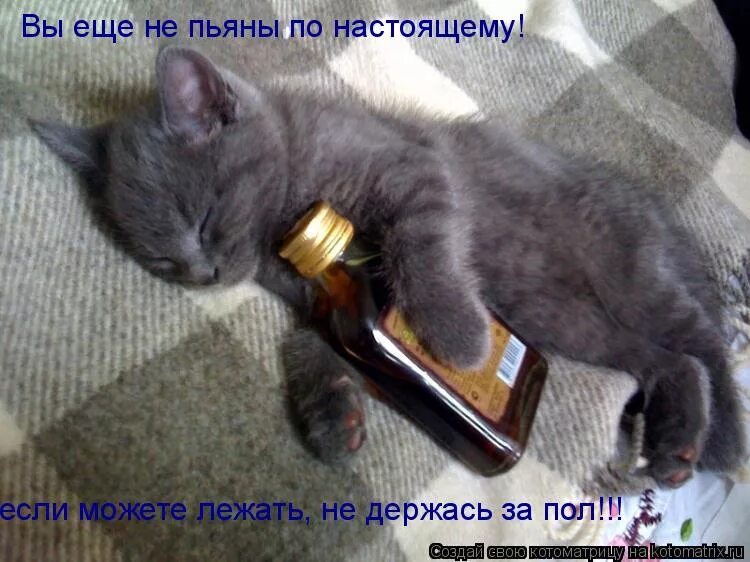 Братья пилоты ничего не понимаю. Шутки про растяжку. Ни перебирал. Ни перебирал. Ни перебирал.