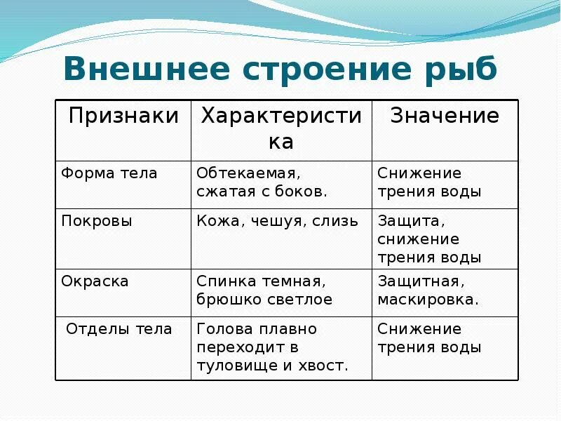 Строение рыбы 7 класс таблица. 7 Кл биология таблица внутреннее строение рыб. Особенности внешнего строения у рыб 7 класс биология таблица. Таблица внешнее строение рыб форма тела покровы тела. Таблица внутреннее строение рыб 7 класс биология.