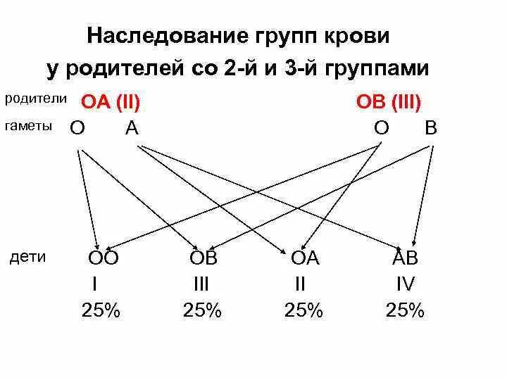 Наследование групп крови ребенком. Схема наследования групп крови человека. Схема наследства группы крови. Схема наследования групп крови и резус. Наследование 4 группы крови.