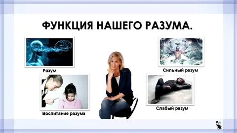 Высшее проявление разума 5 букв