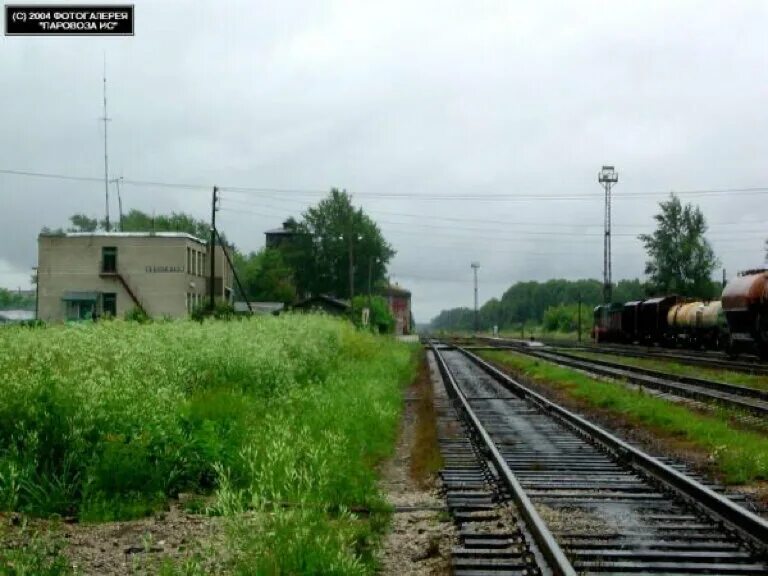 новый быт владимирская область. новый быт селивановский район владимирской области. селивановский район новый быт новая 4. деревня андреевка владимирская область селивановский район. поселок новый быт селивановский район.