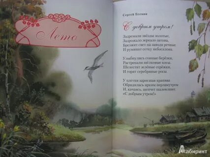 Есенина задрожали звезды золотые