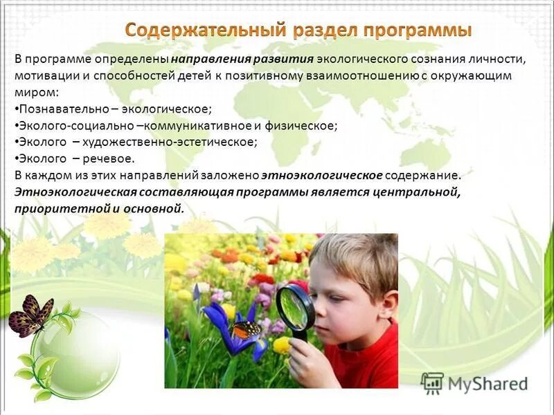 Формирование экологической личности. Формирование экологической личности