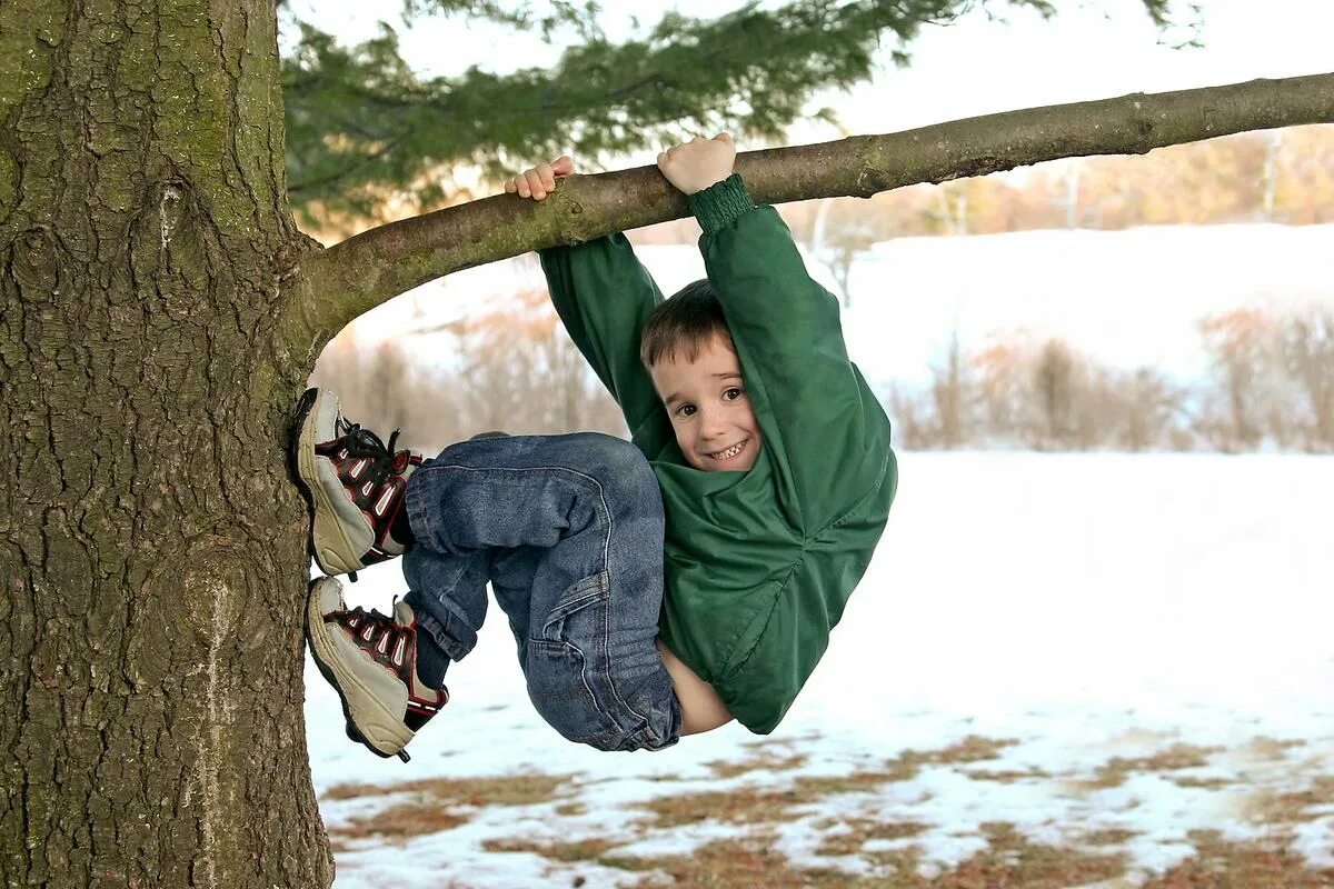 The boy the tree