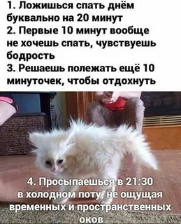 Настроение есть и спать