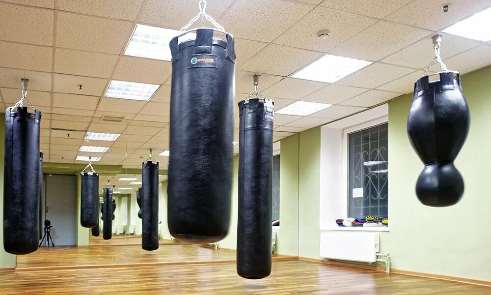 Go fit. Гоу фит нижний новгород. фитнес стандарт. gofit зал. go fit нижний новгород горького 250.