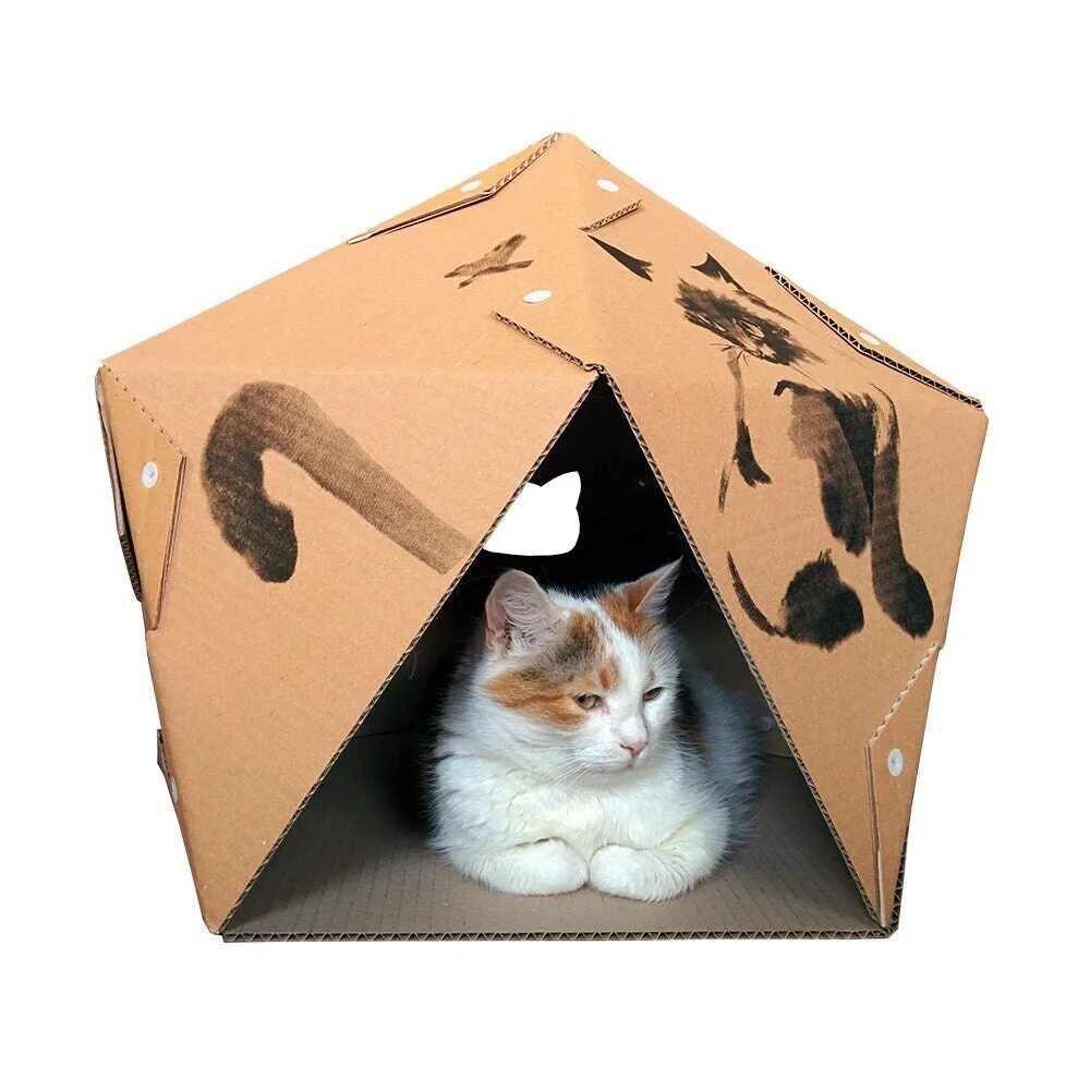 Картон кэт. Картонный кот. Домик для кошечки бумажный. Домик для кошки из коробок для бумаг. Домик для кота из цветного картона.