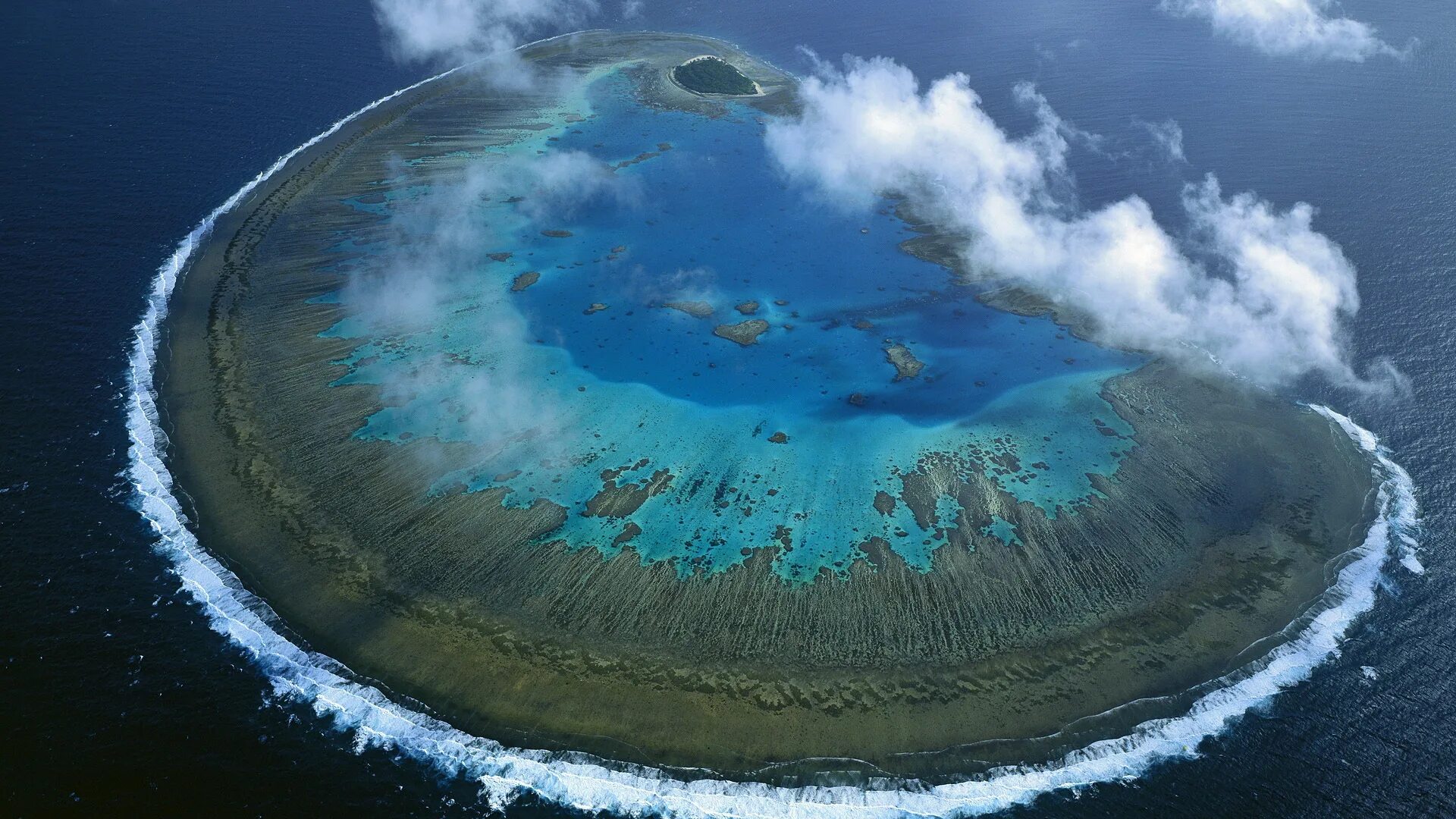 3 самый большой остров на земле. Большой Барьерный риф. Барьерный риф в Австралии. Остров леди Масгрэйв, большой Барьерный риф, Австралия. Коралловый остров леди Масгрэйв Австралия.