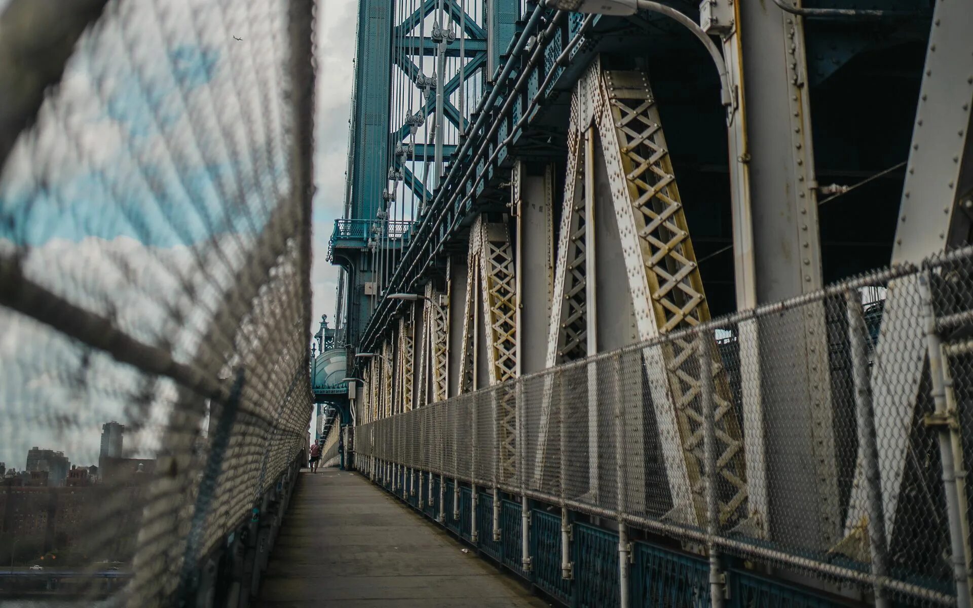 Bridge net