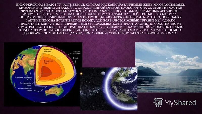 Почему человека называют жителем биосферы