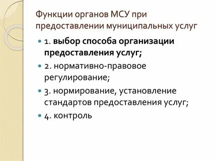 Муниципальные услуги органов местного самоуправления