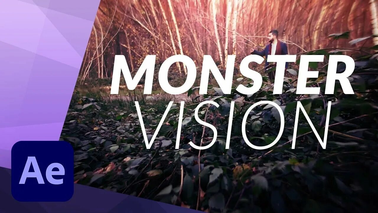 Vision effects. Vision effects