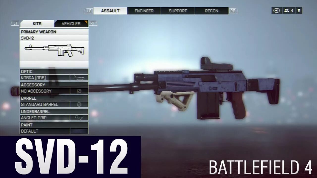 Свд 12. СВД 12 Battlefield. СВД 12 бателфилд 4. DMR бателфилд. АК 12 бателфилд 4.