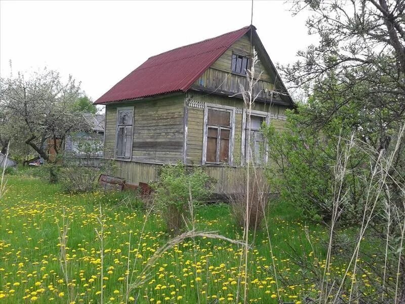 Дача новая ропша. Новая ропша садоводство котляковец. Ленинградская область, ломоносовский ропша. Снт красный садовод. Снт новая ропша.