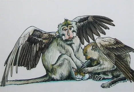 Monkeys fly