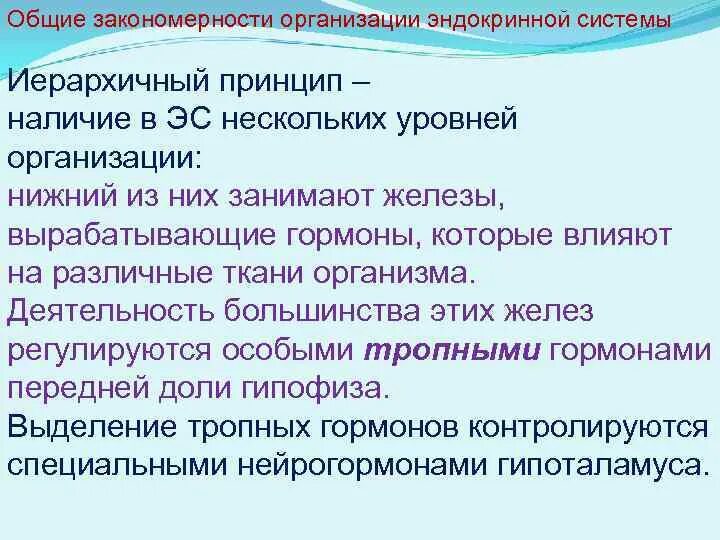 Функционирование организации закономерности. Уровни организации эндокринной системы. Общие закономерности организации эндокринной системы. Иерархичный принцип эндокринной системы. Структурно-функциональная организация эндокринной системы.