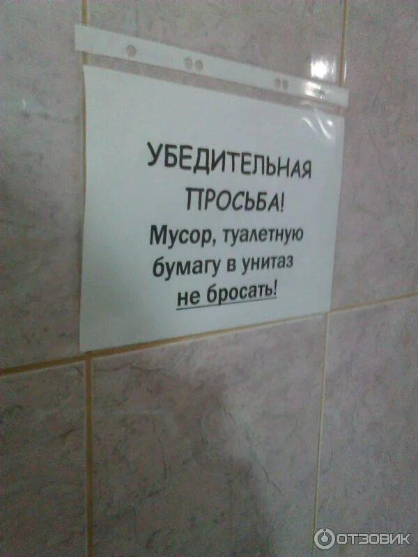 Убедительная просьба не бросать. Смешные надписи в туалете. Объявления для туалетных комнат. Табличка на туалет прикольная. Объявление в туалет в общежитие.