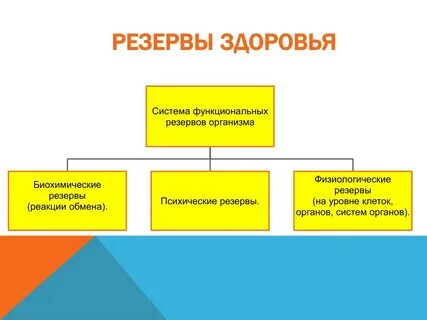 Резервы организма человека